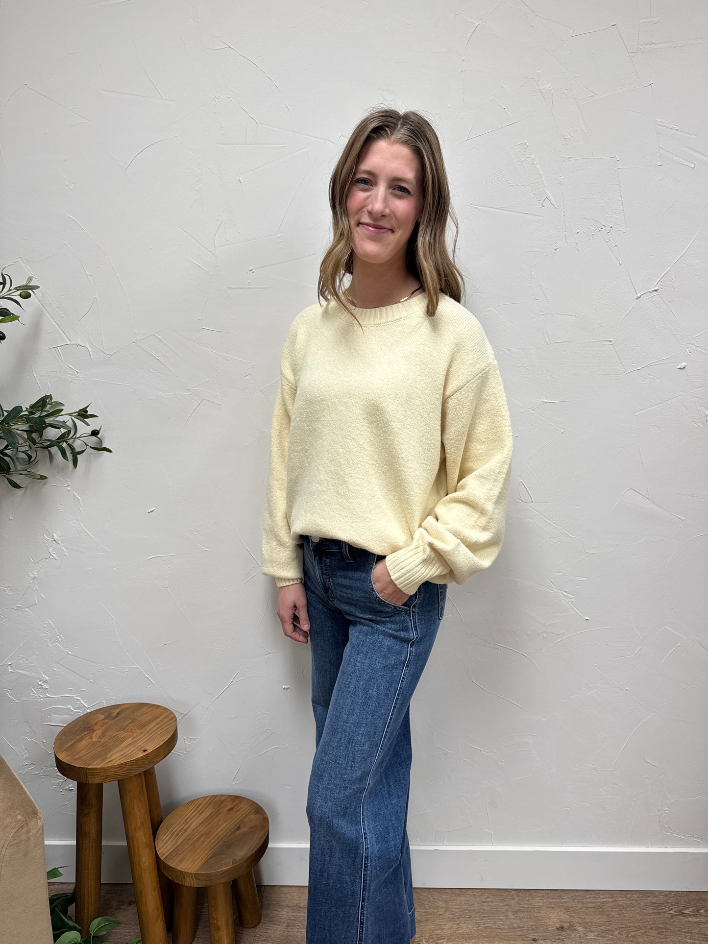 Basic Soft Knit Sweater