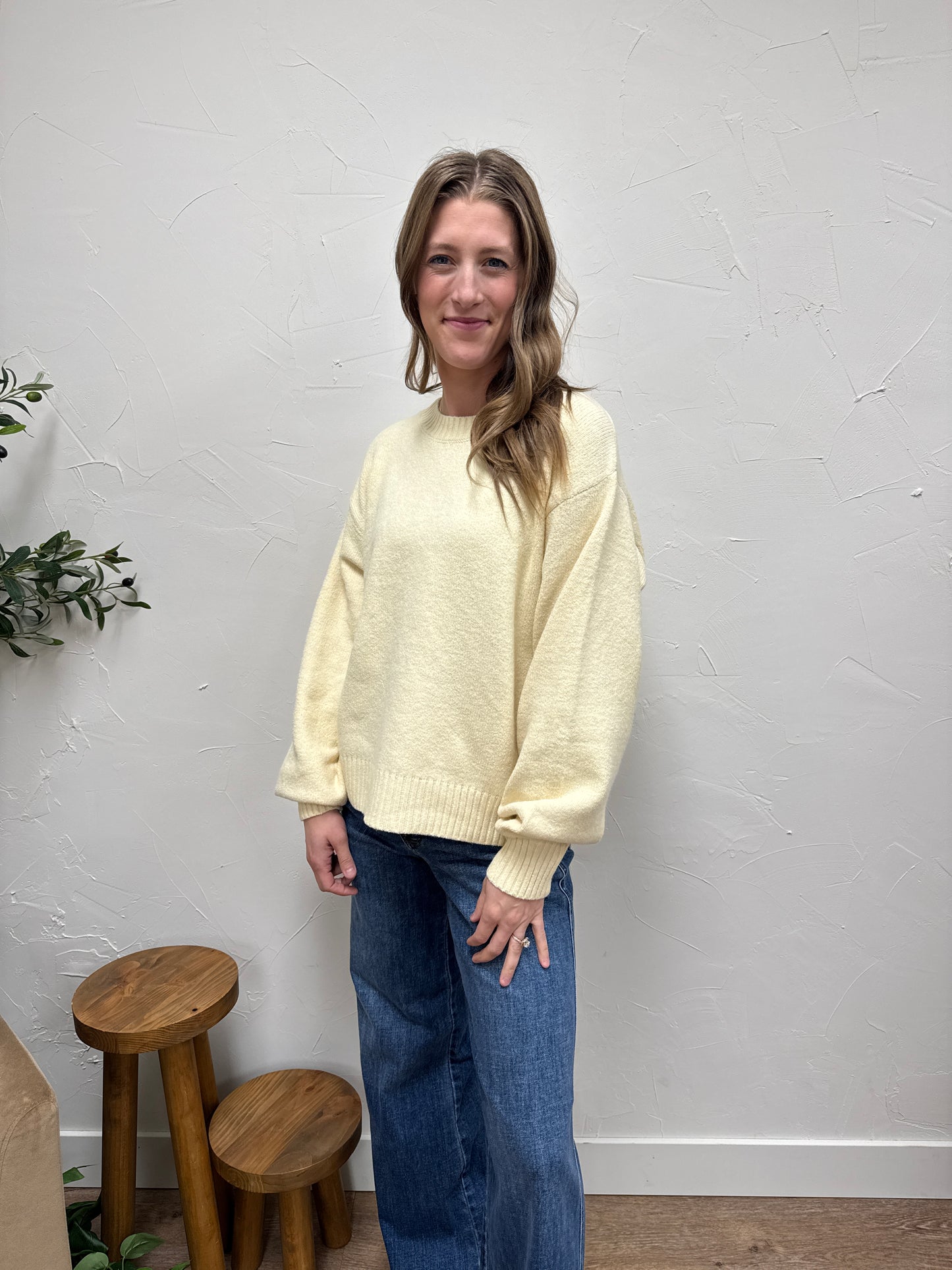 Basic Soft Knit Sweater