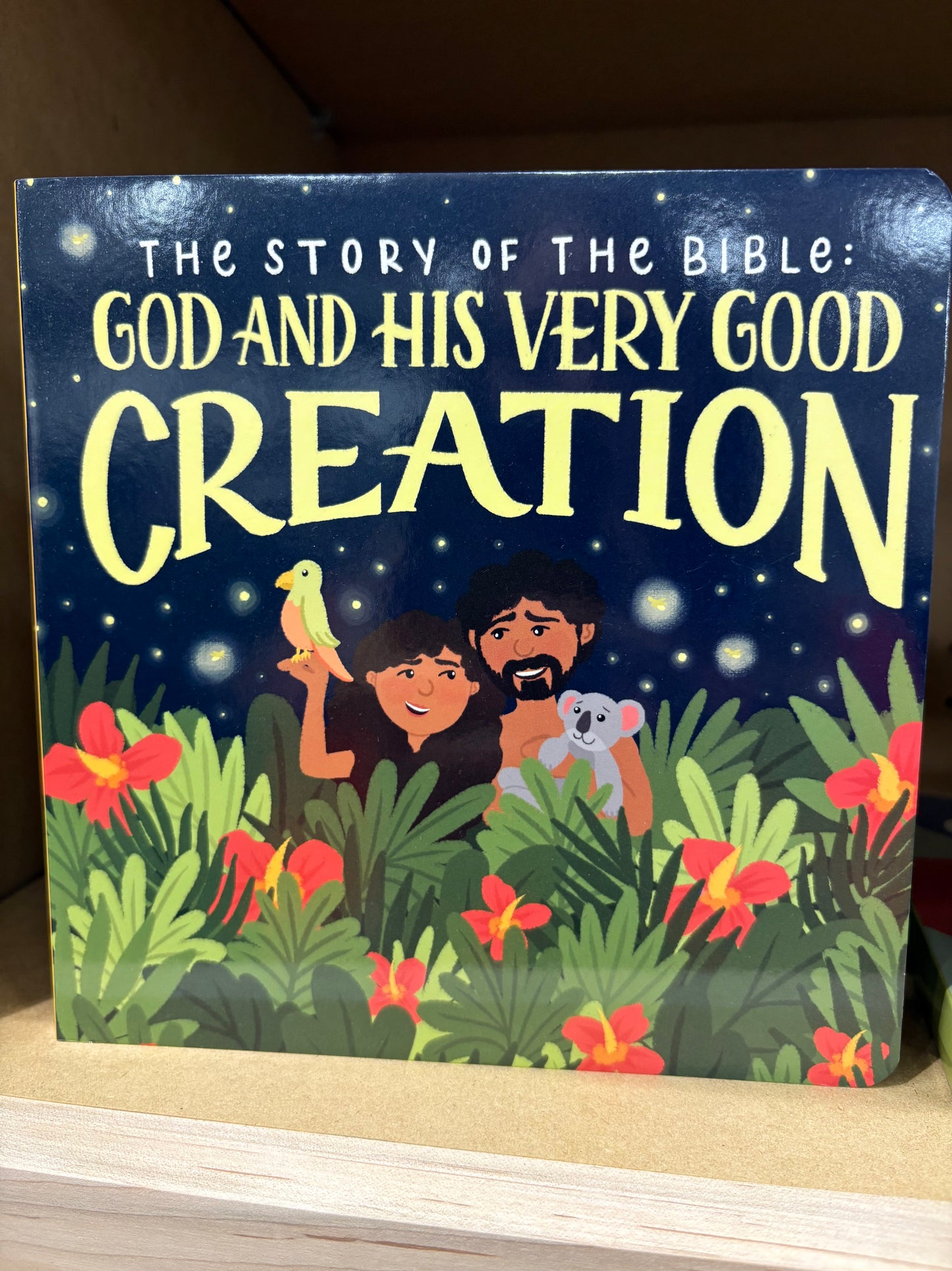 The Story of the Bible: God and His Very Good Creation