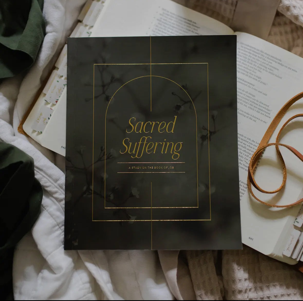 Sacred Suffering | A Study On the Book of Job