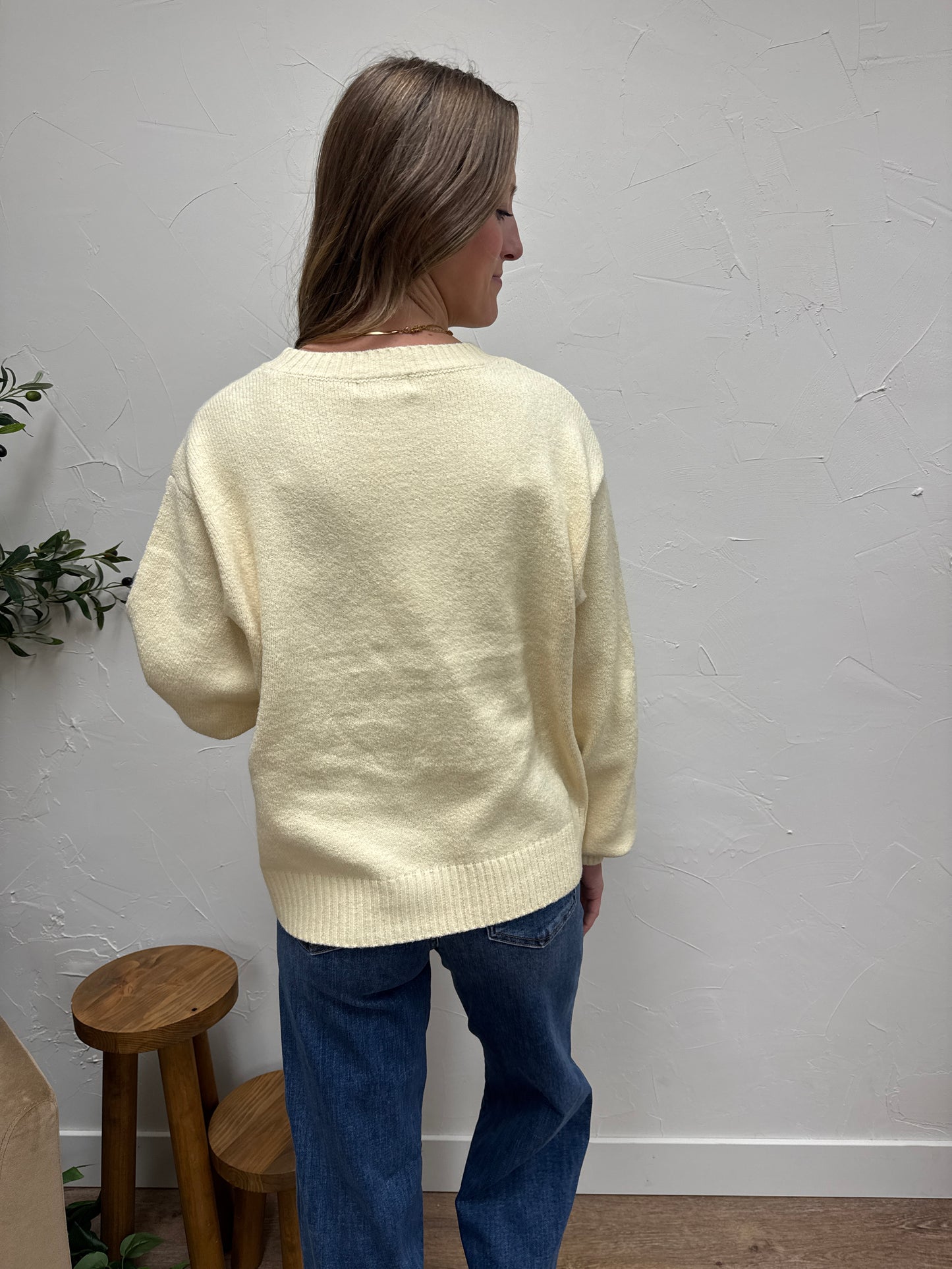 Basic Soft Knit Sweater