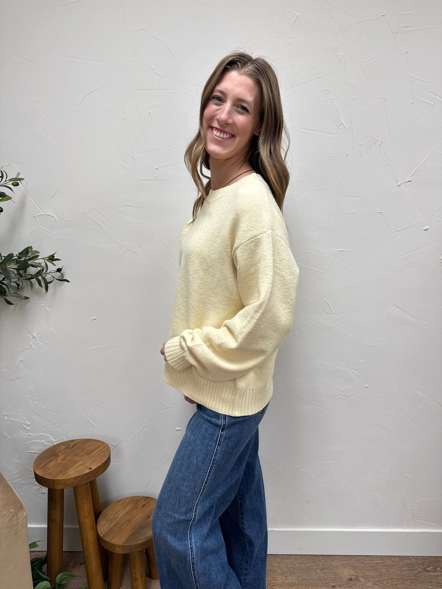 Basic Soft Knit Sweater
