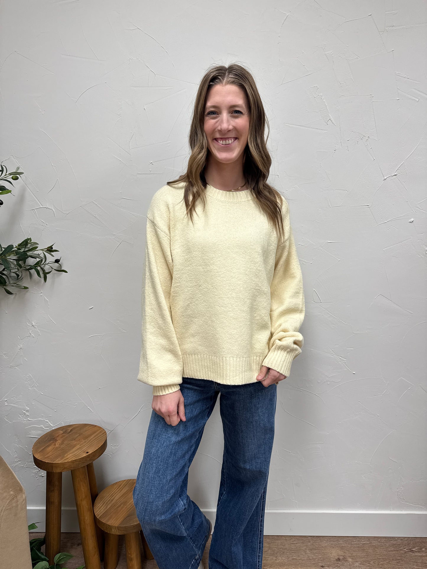 Basic Soft Knit Sweater