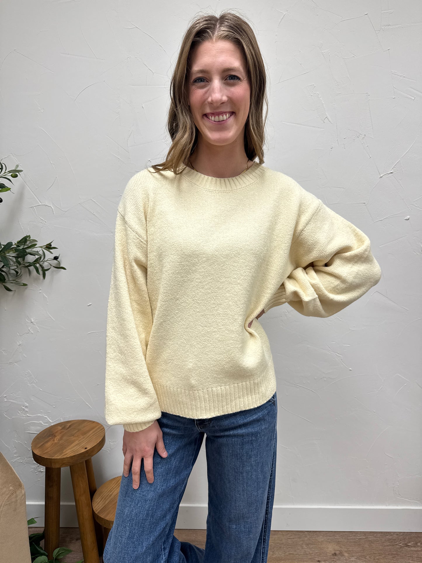 Basic Soft Knit Sweater