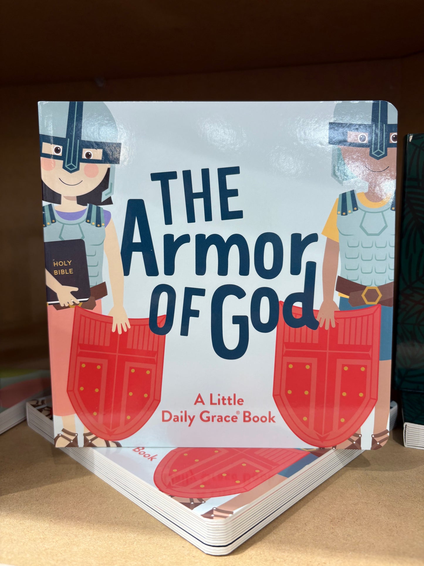 Armor of God Board Book