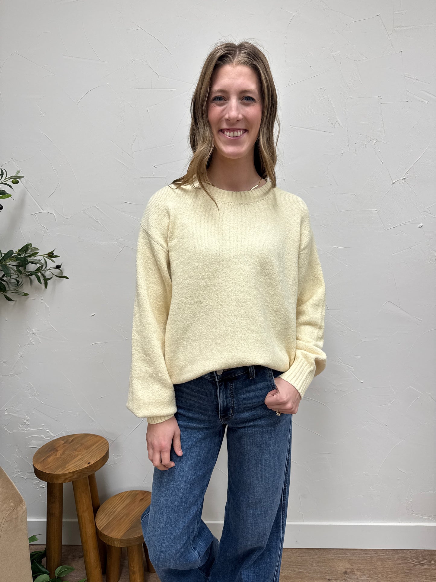 Basic Soft Knit Sweater