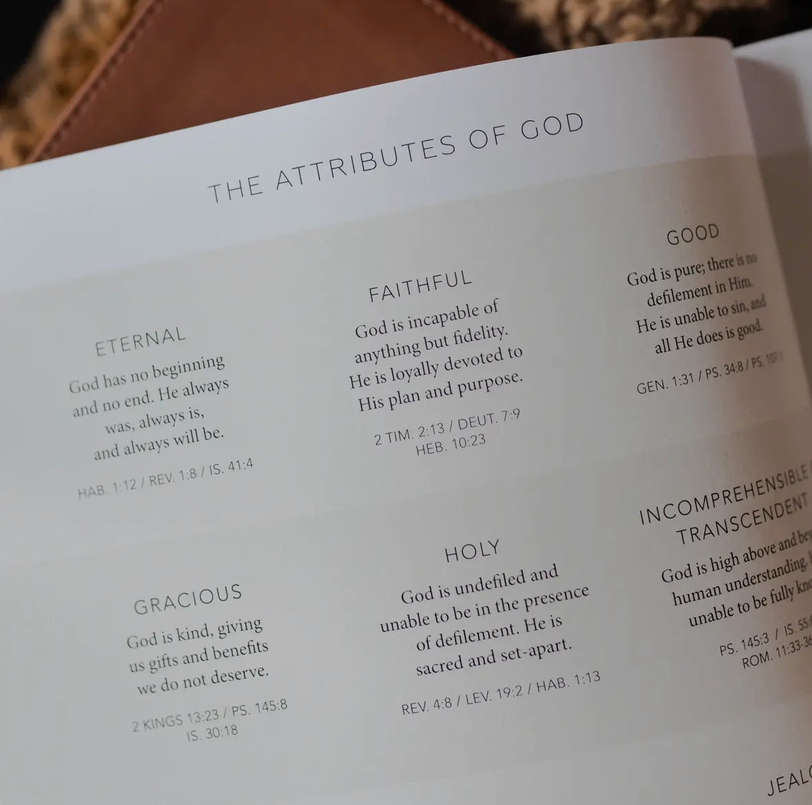 Esther | Seeing God When He Is Silent