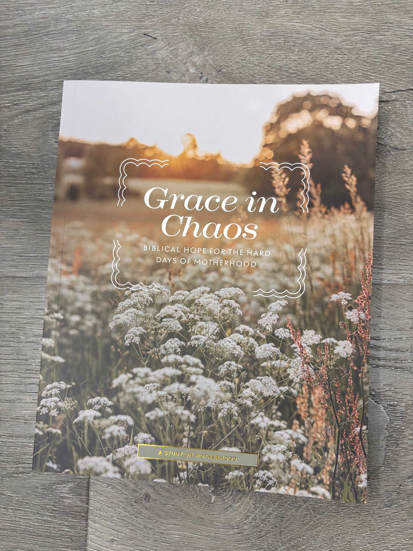 Grace in Chaos | Biblical Hope for the Hard Days of Motherhood