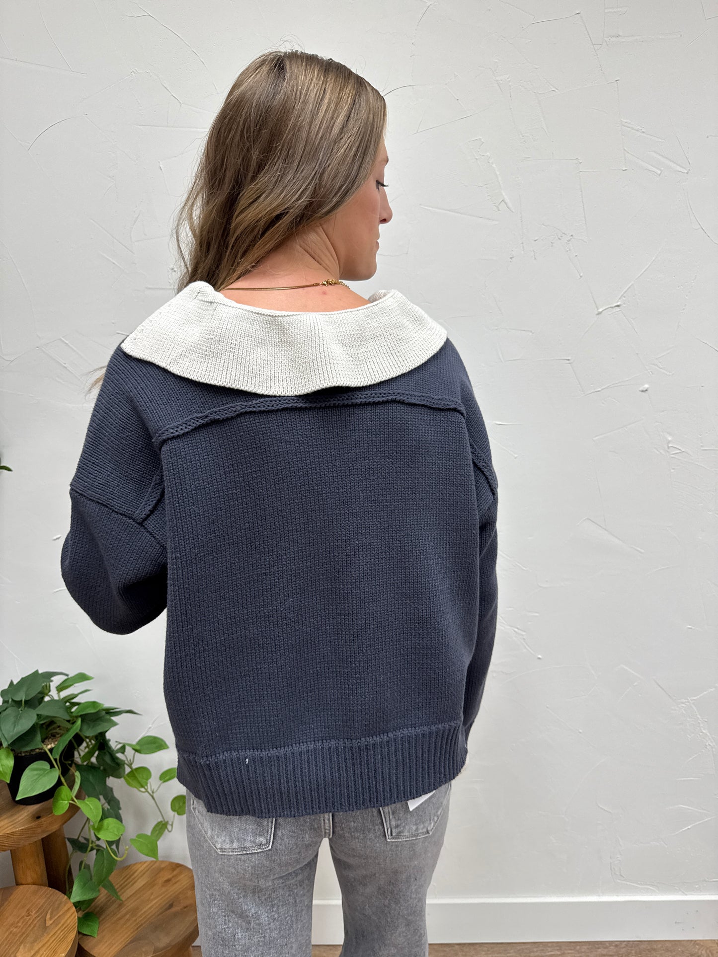 Color Combo V-Neck Sweater Top