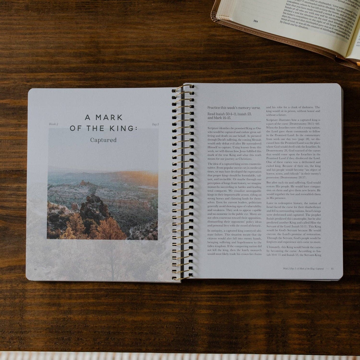Peaks and Valleys: Learning to Look to Christ in Life's Highs and Lows | A Study on the Life of David - Men