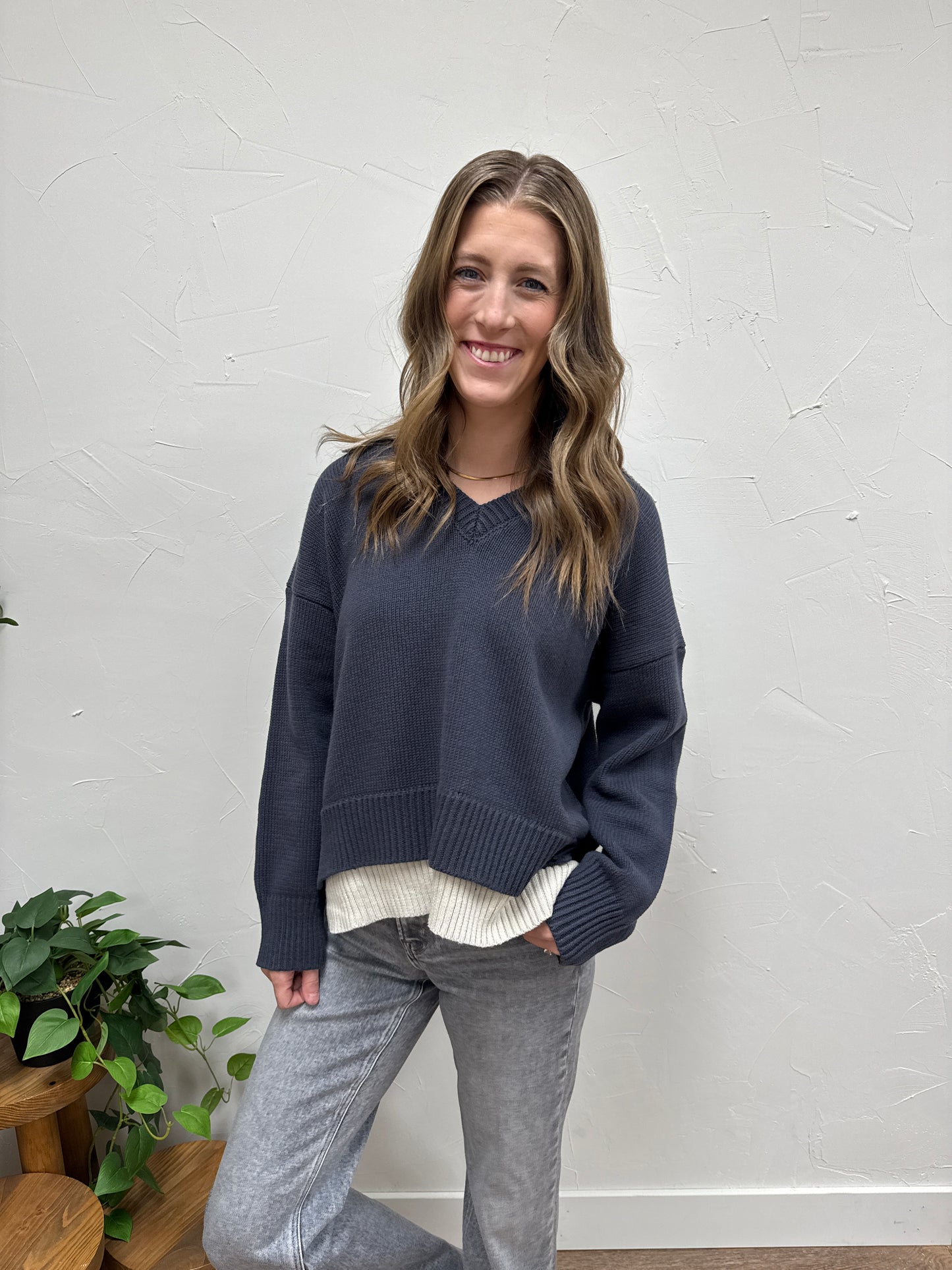 Color Combo V-Neck Sweater Top