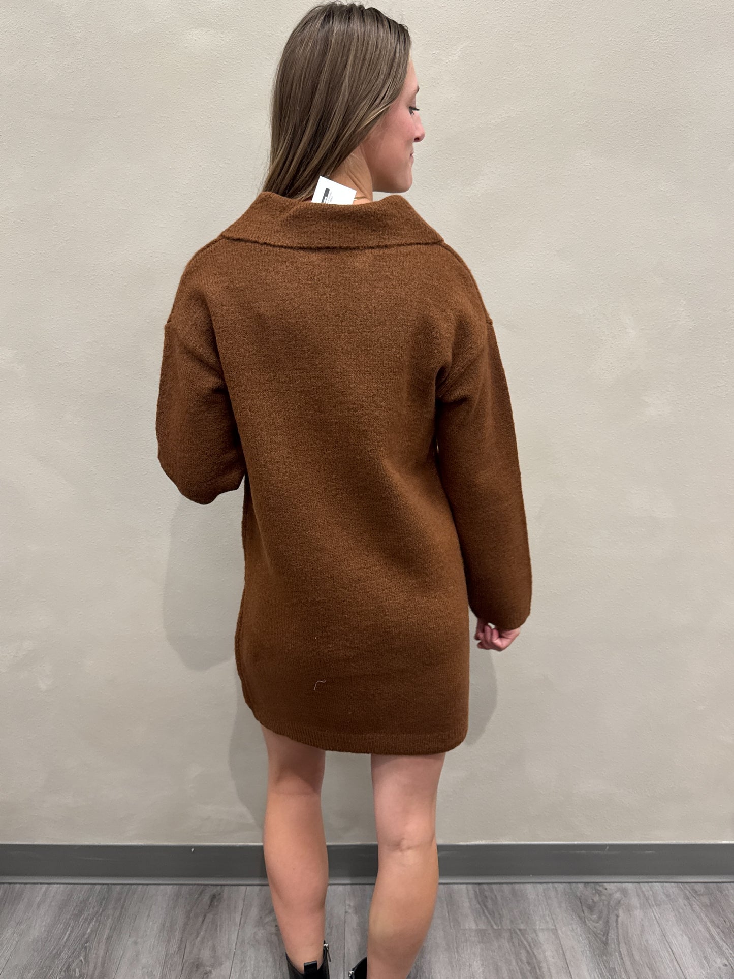 Polo Long Sleeve Sweater Dress