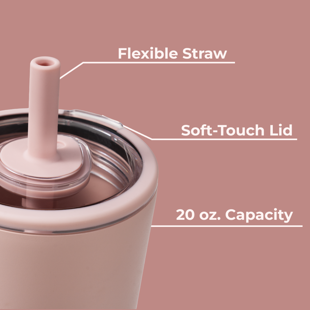 Dusty Rose HydroJug 20 oz Everyday Tumbler