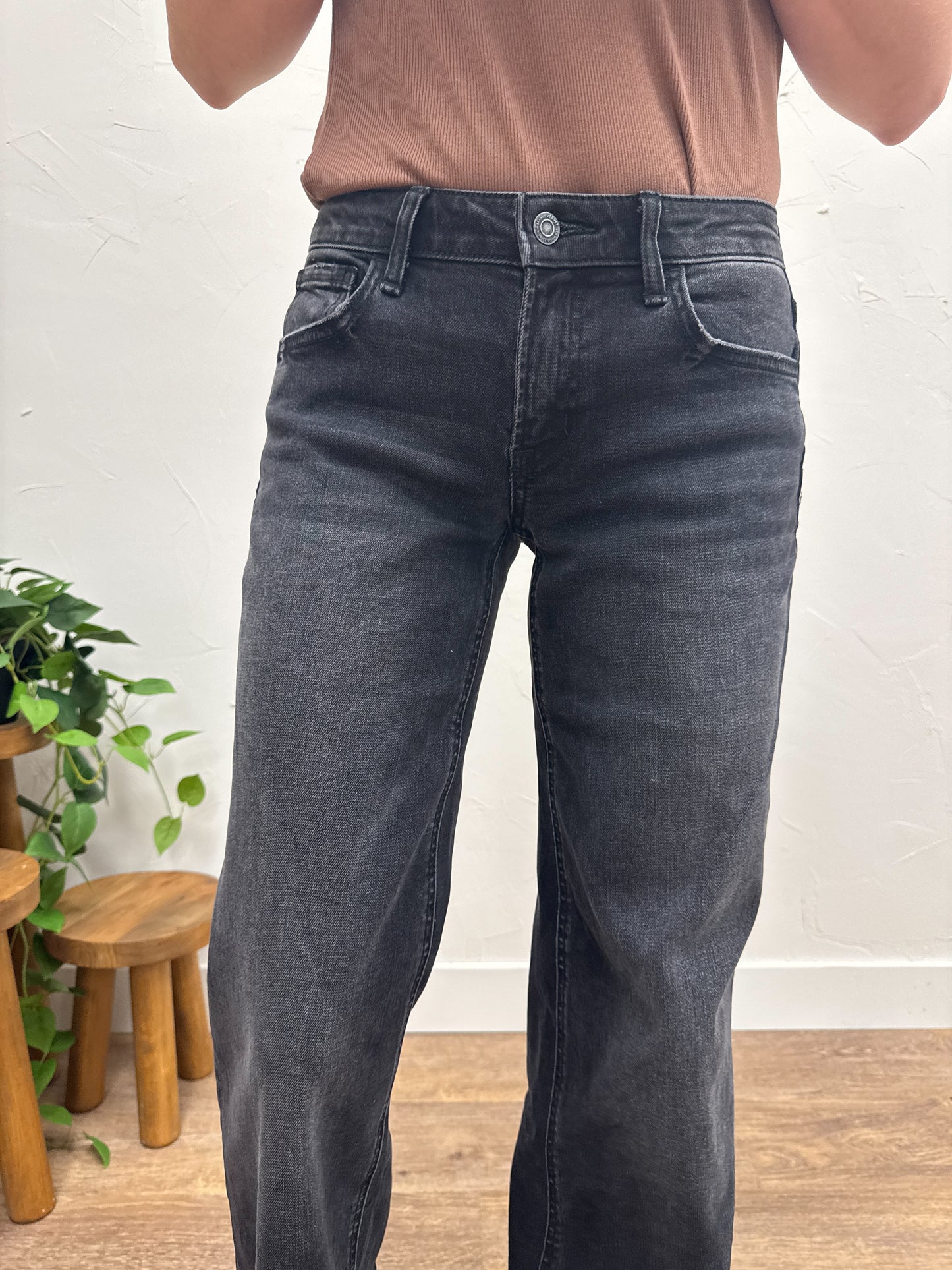 Low Rise Baggy Wide Vervet Denim