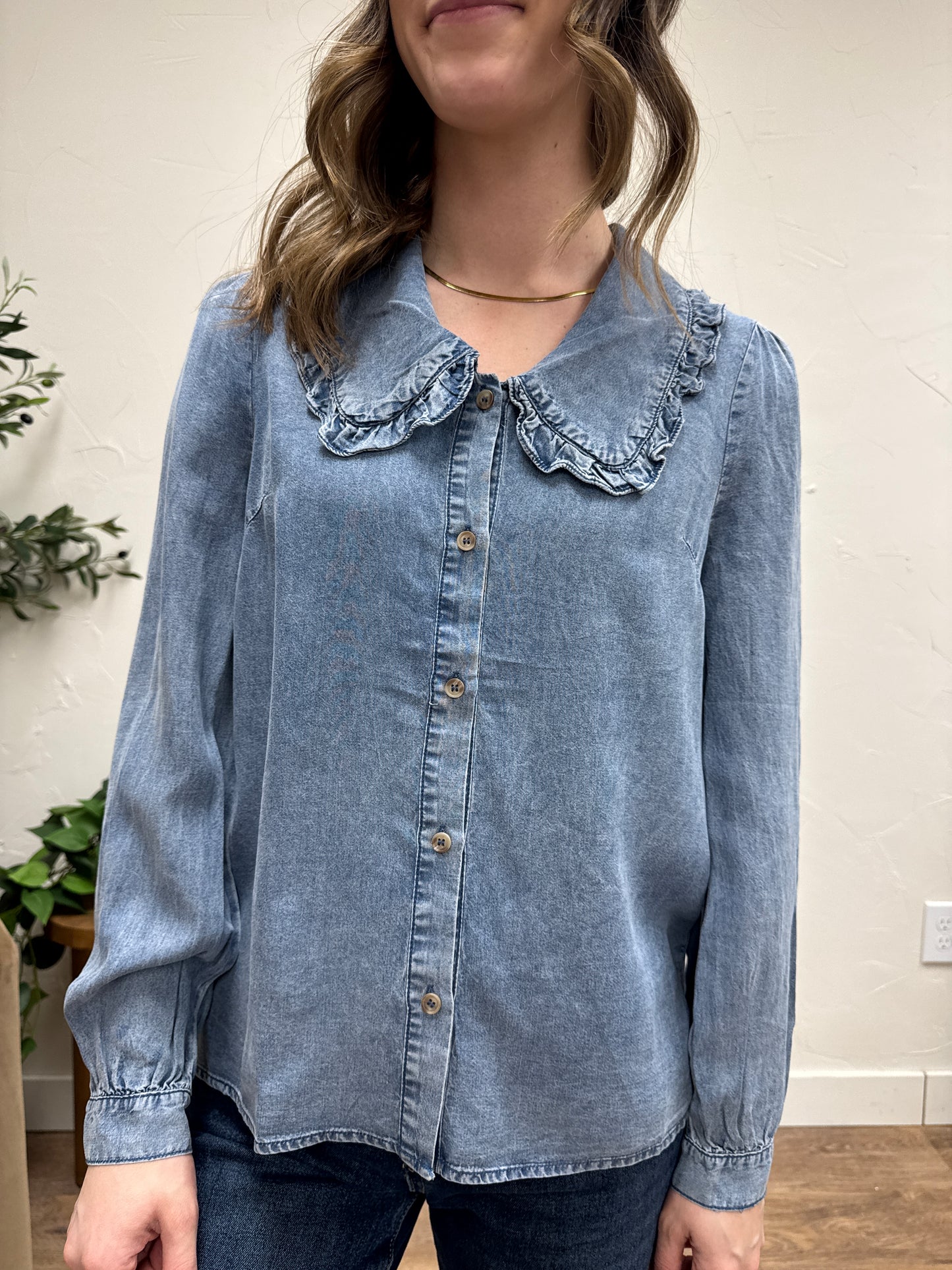 Tencel Denim Long Sleeve Button Down Shirt