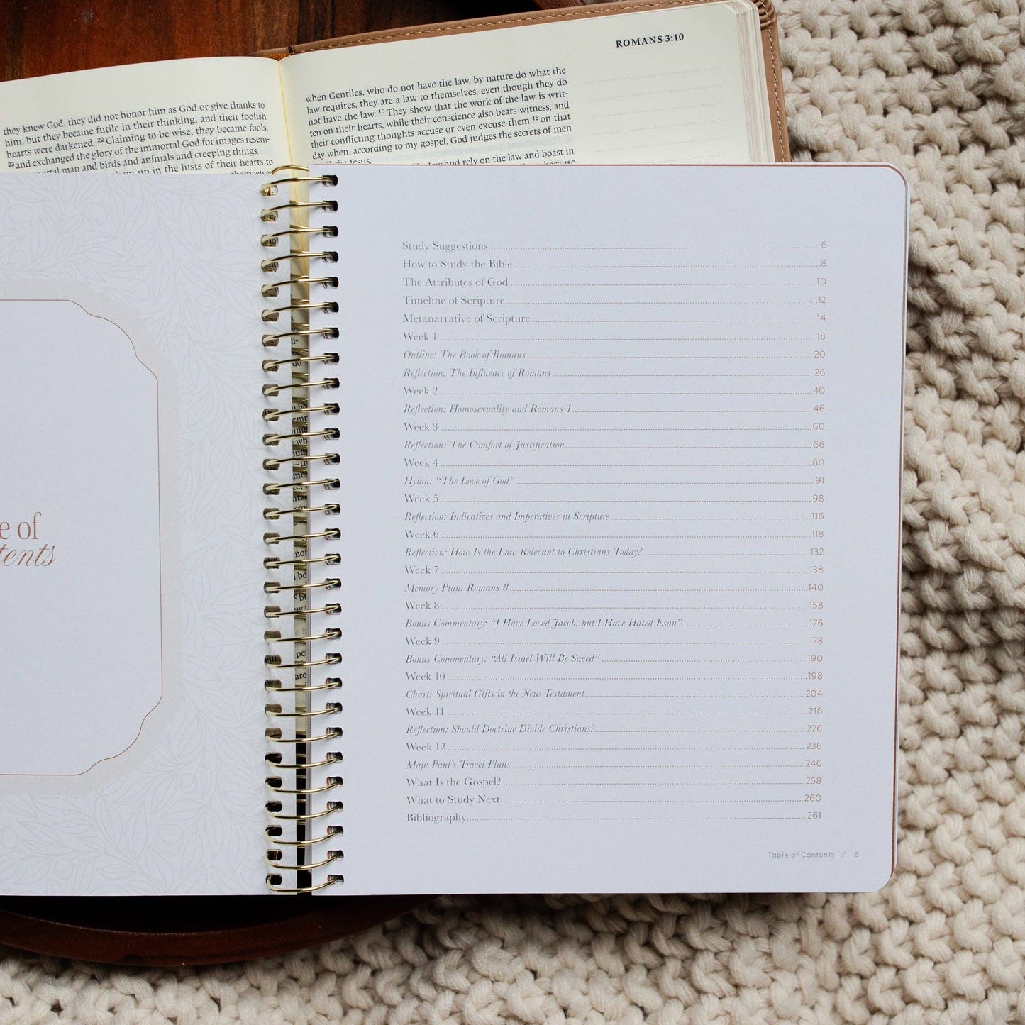 In Christ Alone: A Study on the Book of Romans