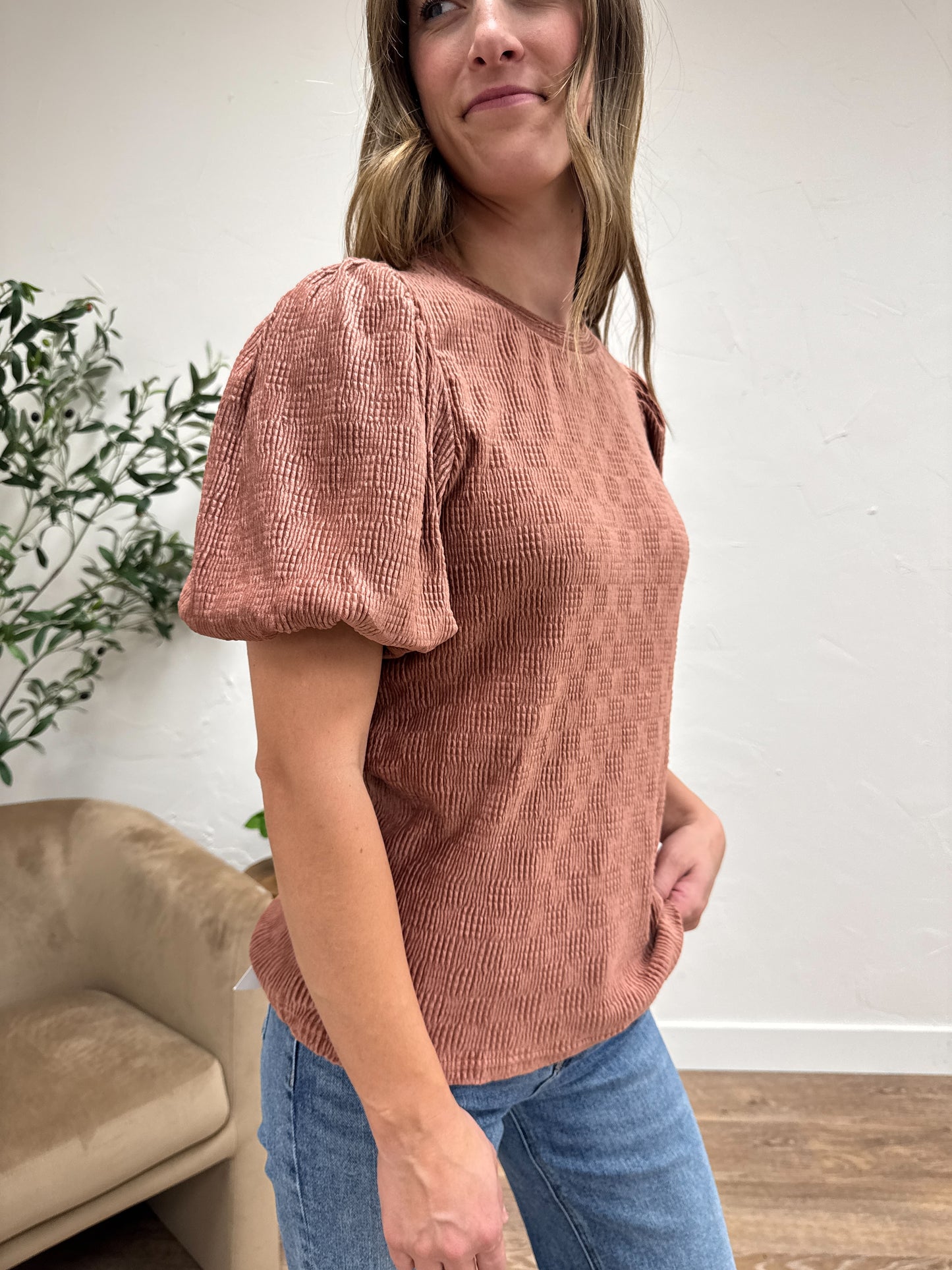 Textured Velvet Bubble Sleeve Top