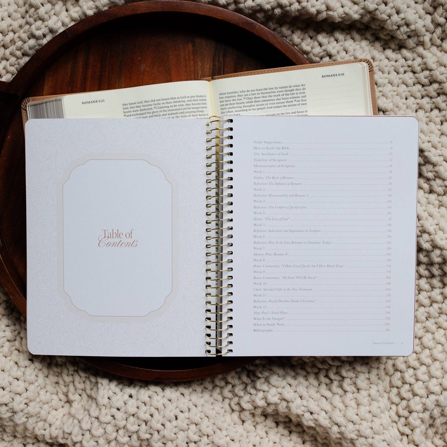 In Christ Alone: A Study on the Book of Romans