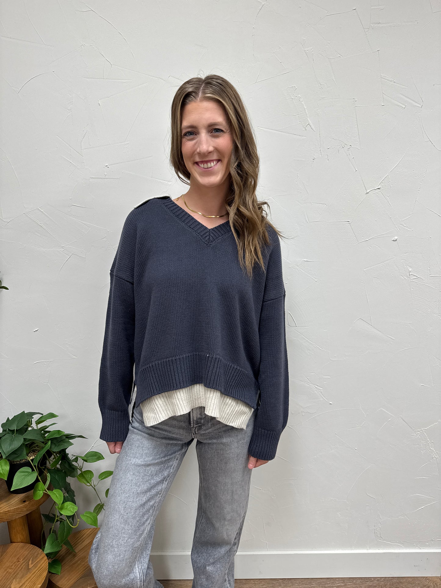 Color Combo V-Neck Sweater Top
