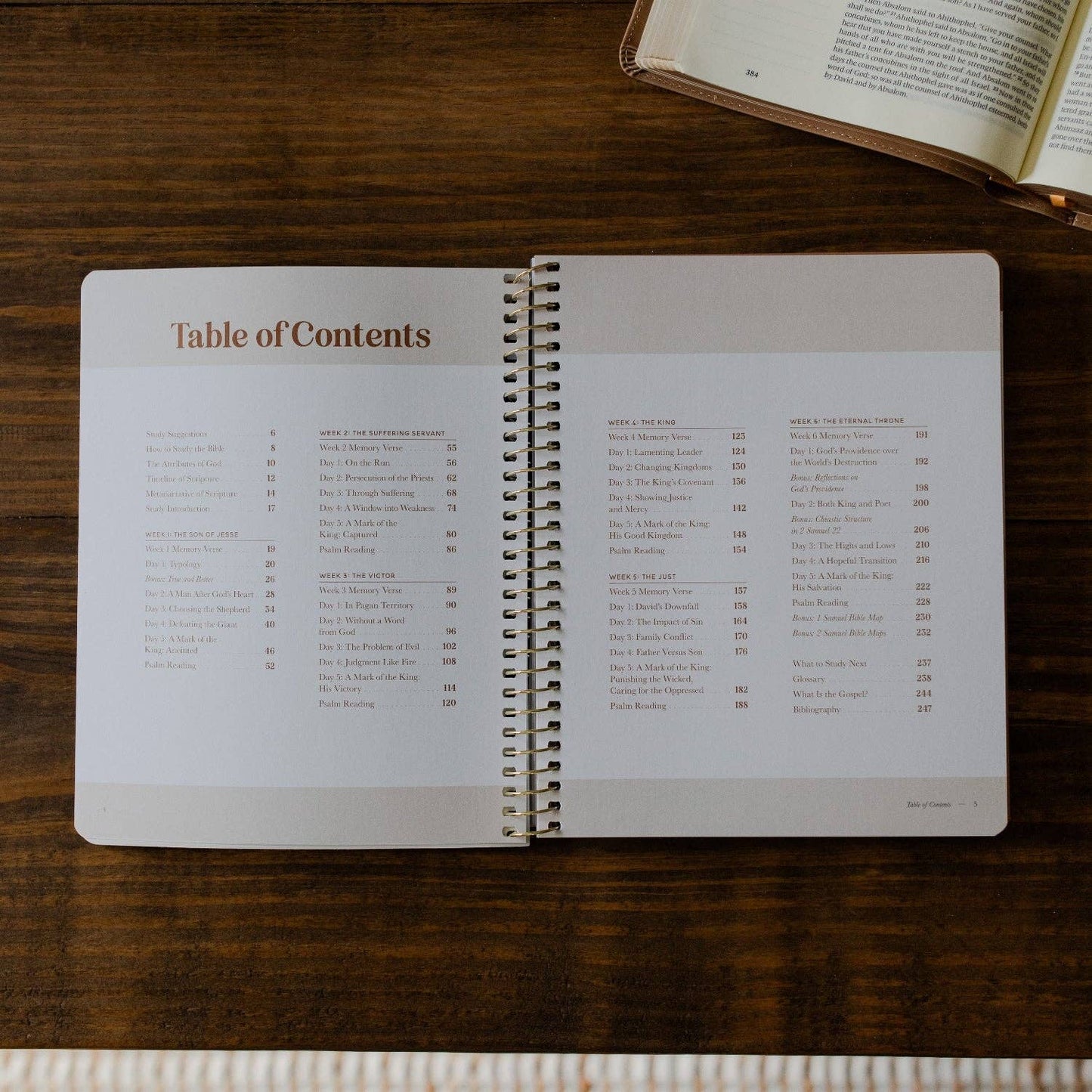 Peaks and Valleys: Learning to Look to Christ in Life's Highs and Lows | A Study on the Life of David - Men