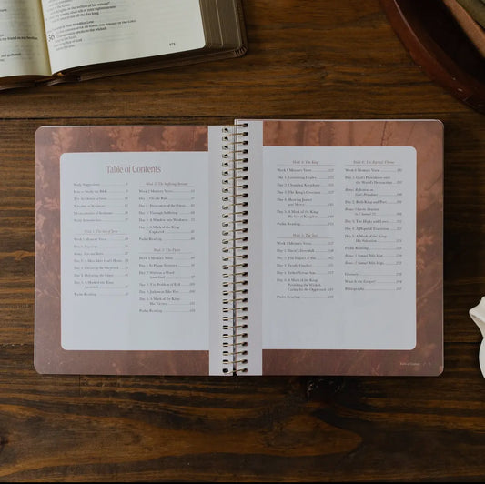 Peaks and Valleys: Learning To Look To Christ in Life's Highs and Lows