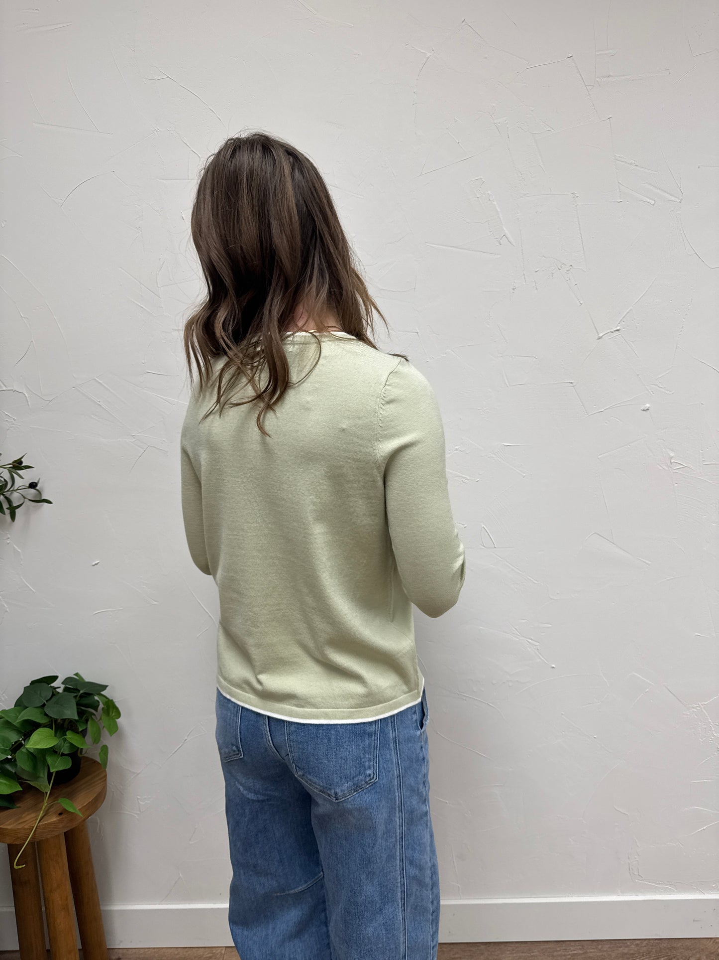 Contrast Color accent crew neck