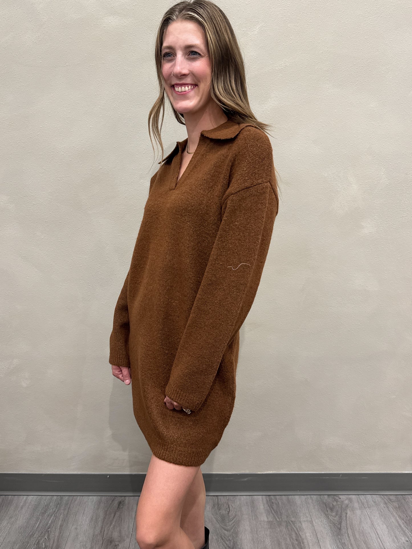 Polo Long Sleeve Sweater Dress