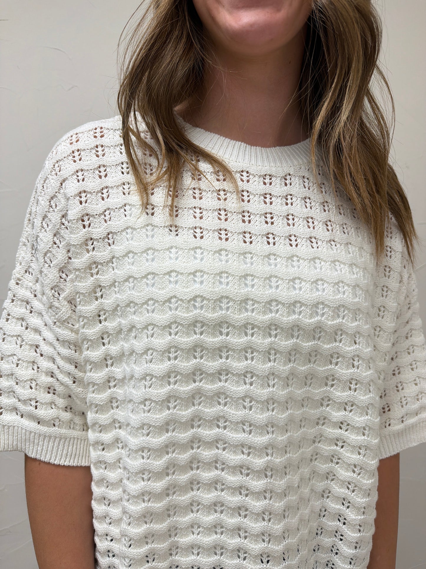 Crew Neck Crochet Textured Knitted Sweater Top
