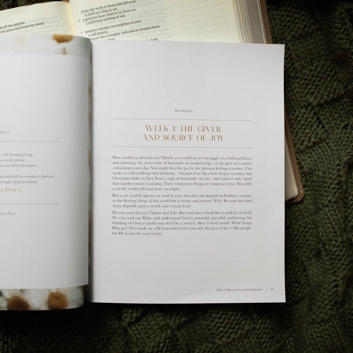 Close up of study guide cover featuring title and soft neutral design — Three:Twelve Boutique