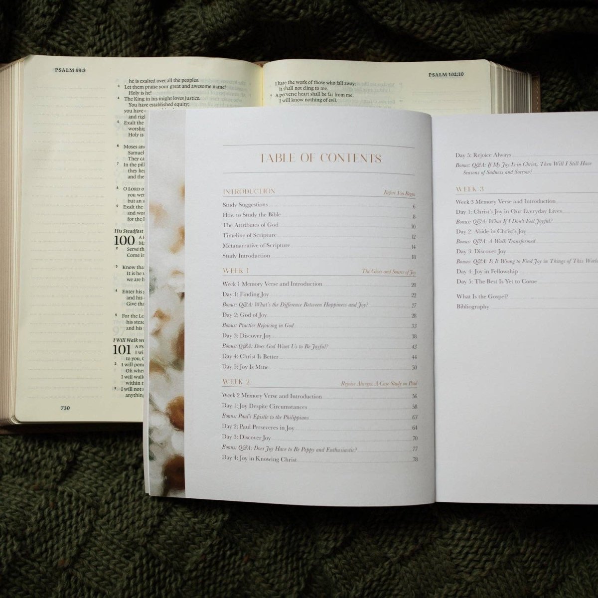 Close up of study guide cover featuring title and soft neutral design — Three:Twelve Boutique