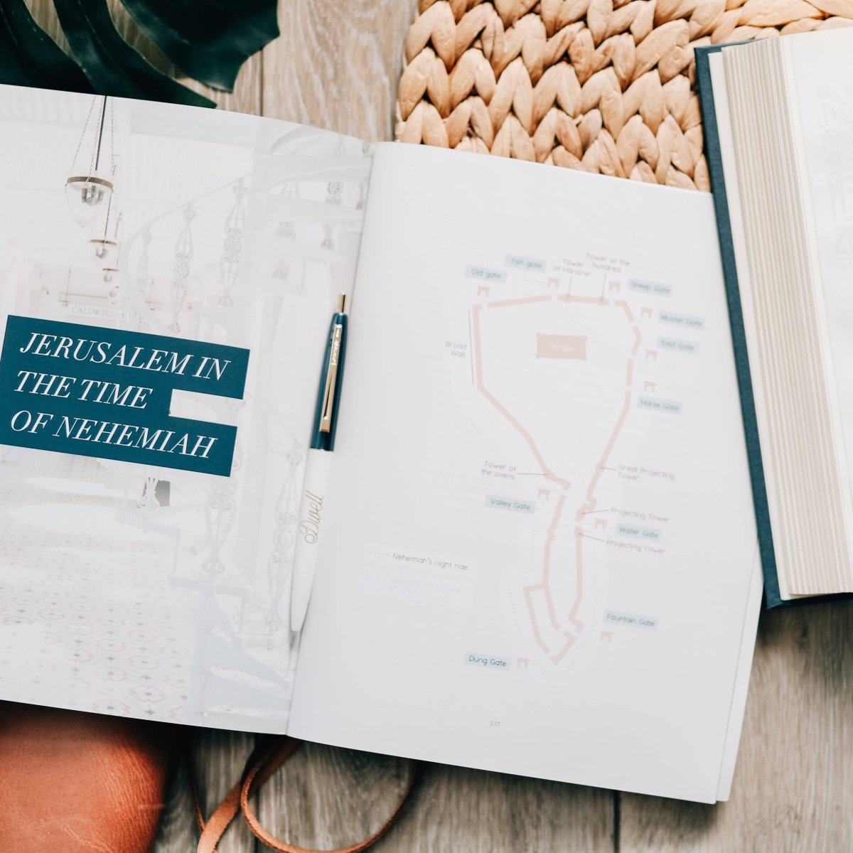 Arise | Nehemiah Bible Study - Three:Twelve Boutique - The Daily Grace Co