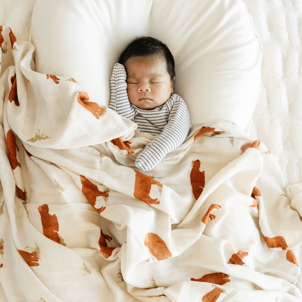 BAMBOO RAYON MUSLIN SWADDLES: Highland Cow - Three:Twelve Boutique - Saranoni