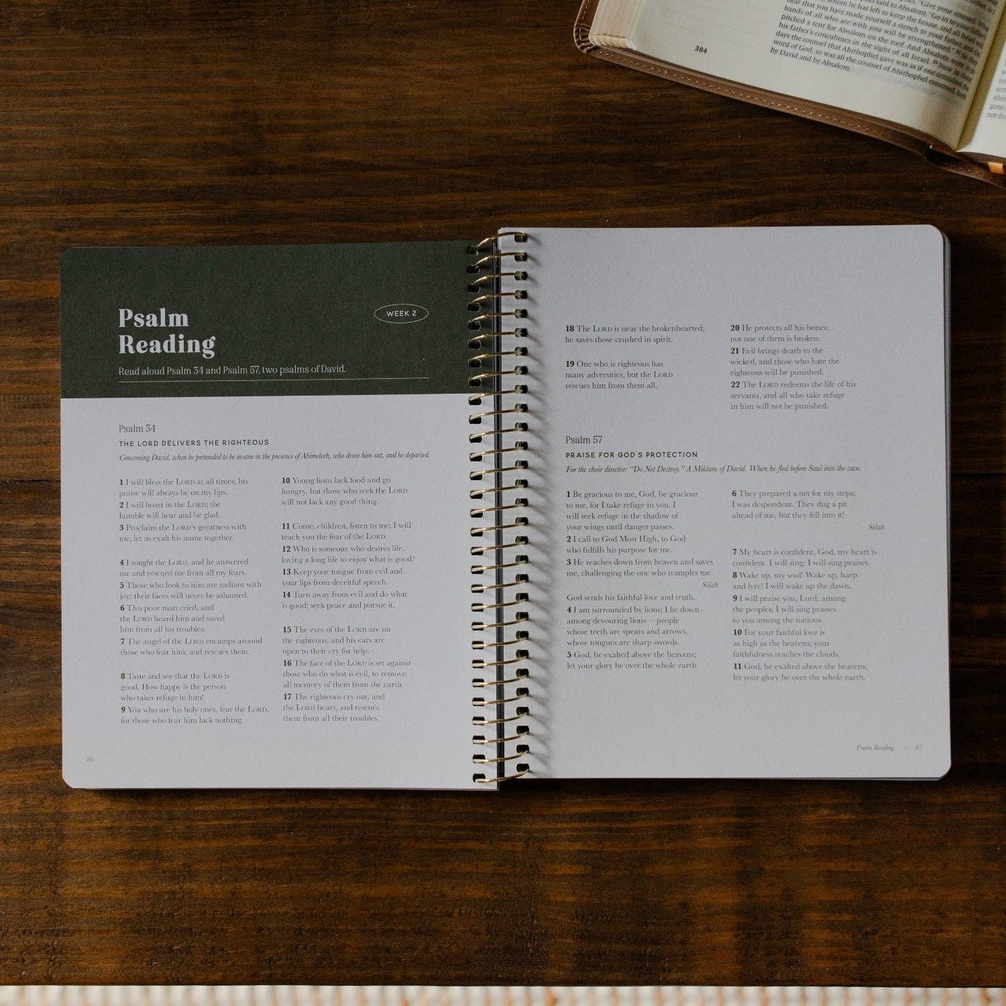 Peaks and Valleys: Learning to Look to Christ in Life's Highs and Lows | A Study on the Life of David - Men