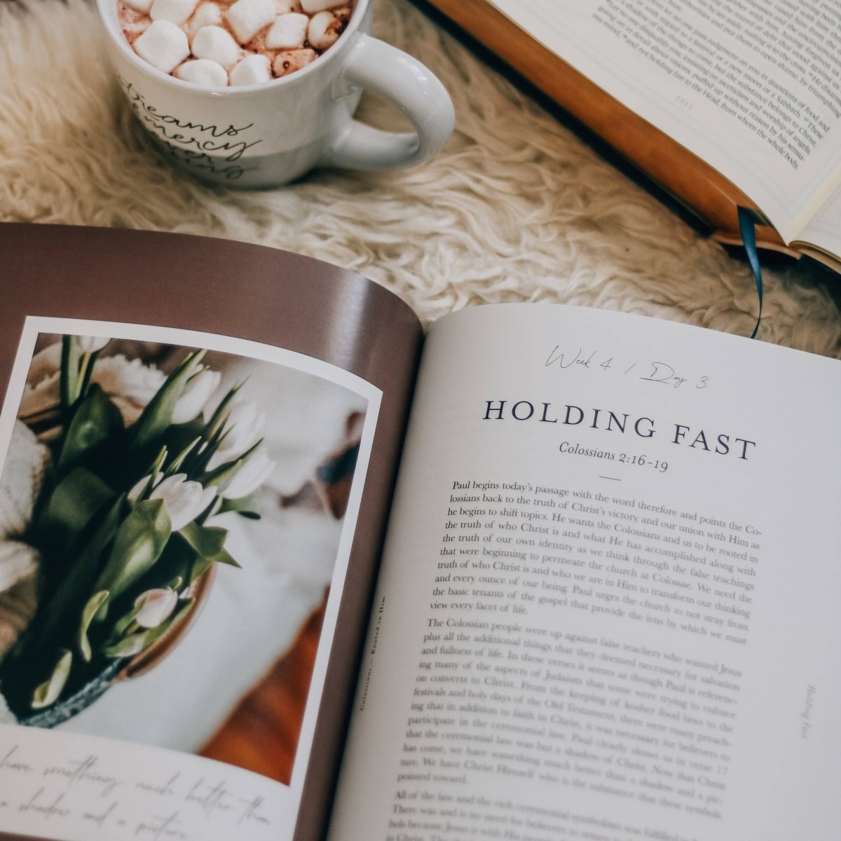 Colossians Bible Study | Rooted in Him - Three:Twelve Boutique - The Daily Grace Co