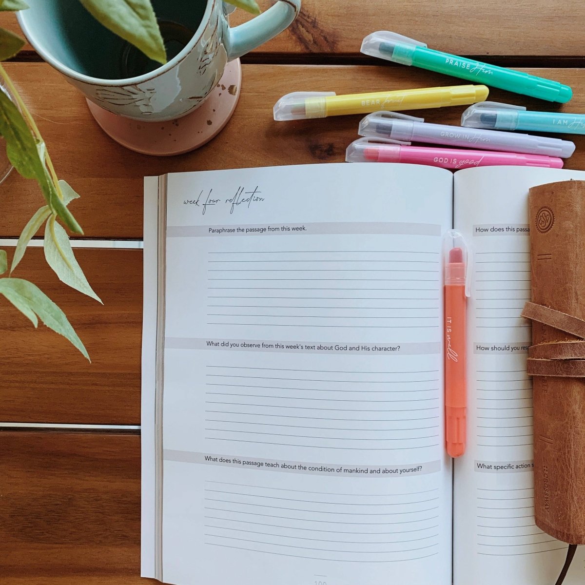 Colossians Bible Study | Rooted in Him - Three:Twelve Boutique - The Daily Grace Co