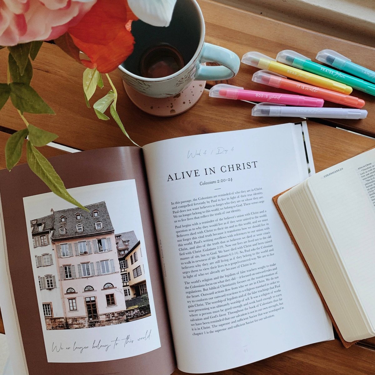 Colossians Bible Study | Rooted in Him - Three:Twelve Boutique - The Daily Grace Co