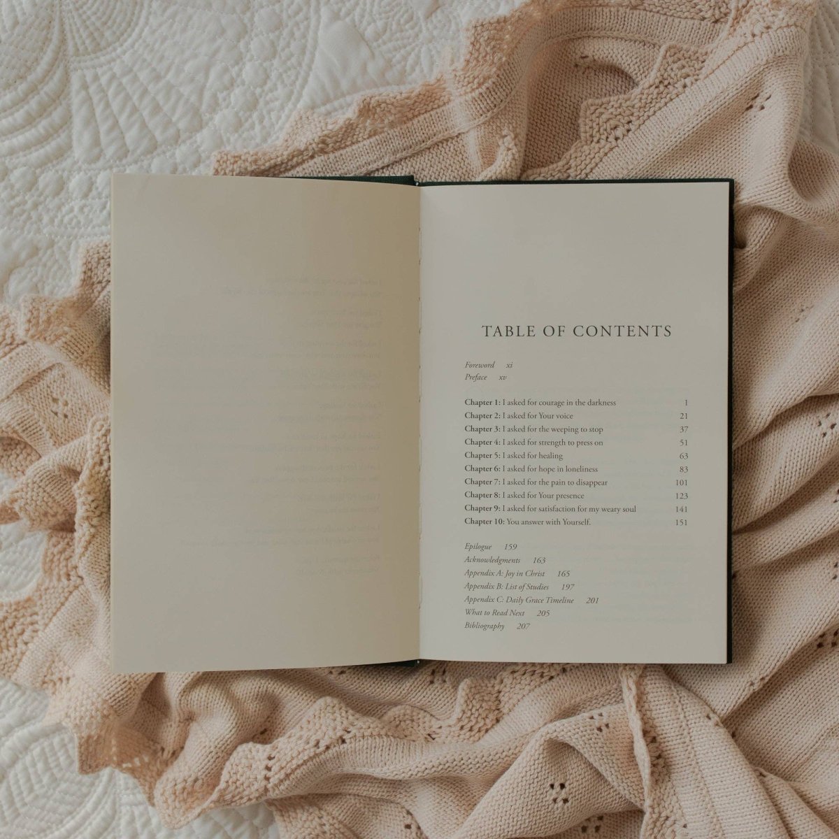 Daily Grace | How Jesus Answers Our Heartache with Himself - Three:Twelve Boutique - The Daily Grace Co