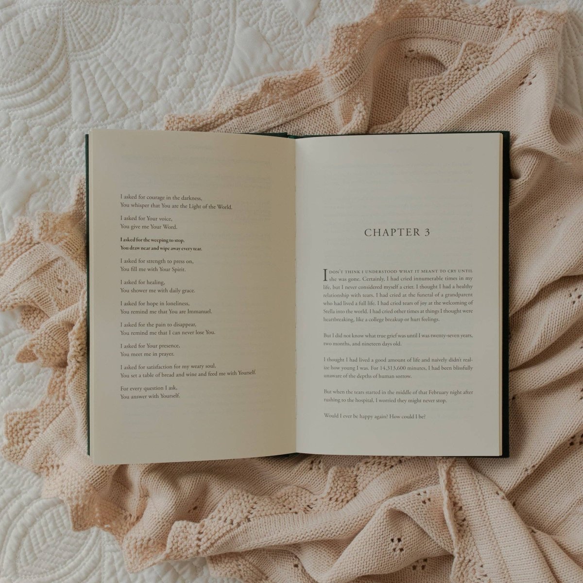 Daily Grace | How Jesus Answers Our Heartache with Himself - Three:Twelve Boutique - The Daily Grace Co