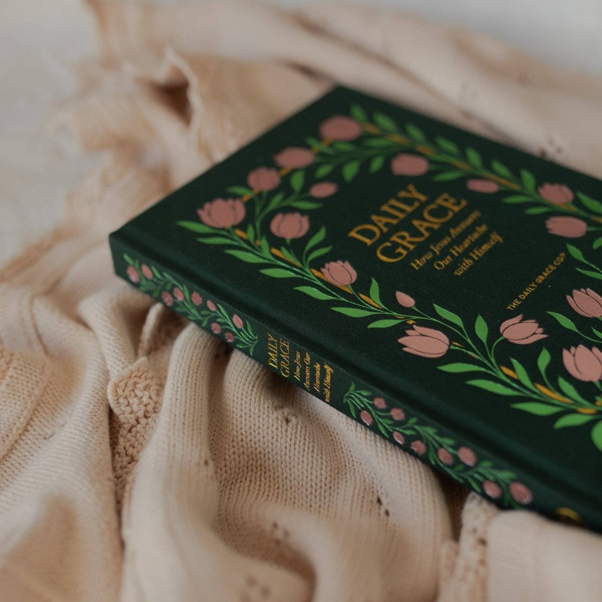 Daily Grace | How Jesus Answers Our Heartache with Himself - Three:Twelve Boutique - The Daily Grace Co