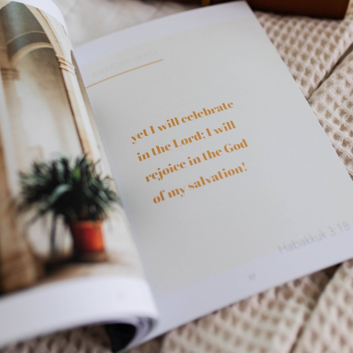 Even If Bible Study - Three:Twelve Boutique - The Daily Grace Co