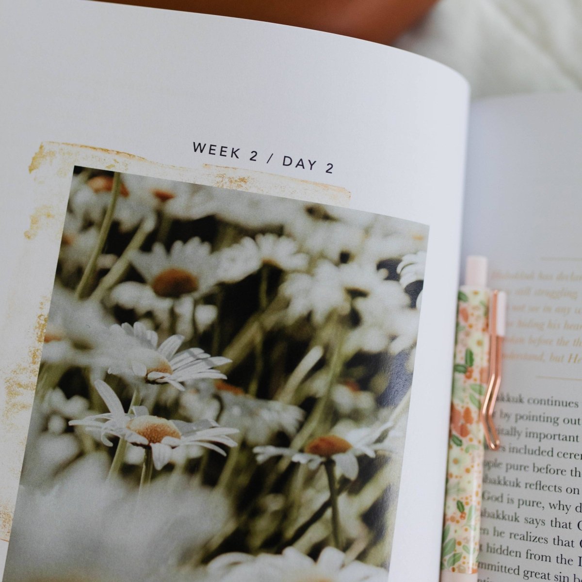 Even If Bible Study - Three:Twelve Boutique - The Daily Grace Co