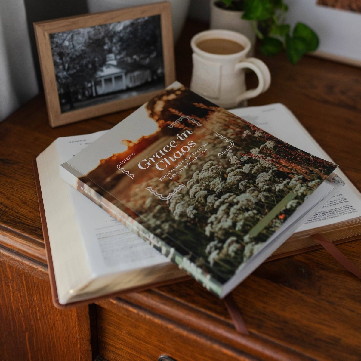 Grace in Chaos | Biblical Hope for the Hard Days of Motherhood - Three:Twelve Boutique - The Daily Grace Co