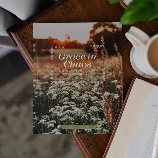 Grace in Chaos | Biblical Hope for the Hard Days of Motherhood - Three:Twelve Boutique - The Daily Grace Co