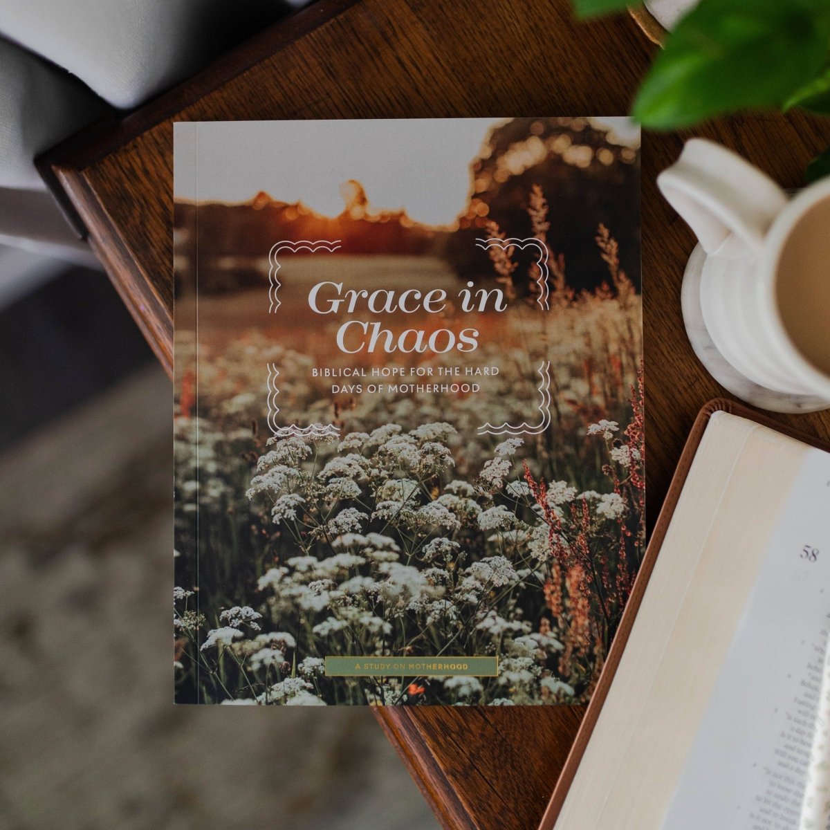 Grace in Chaos | Biblical Hope for the Hard Days of Motherhood - Three:Twelve Boutique - The Daily Grace Co