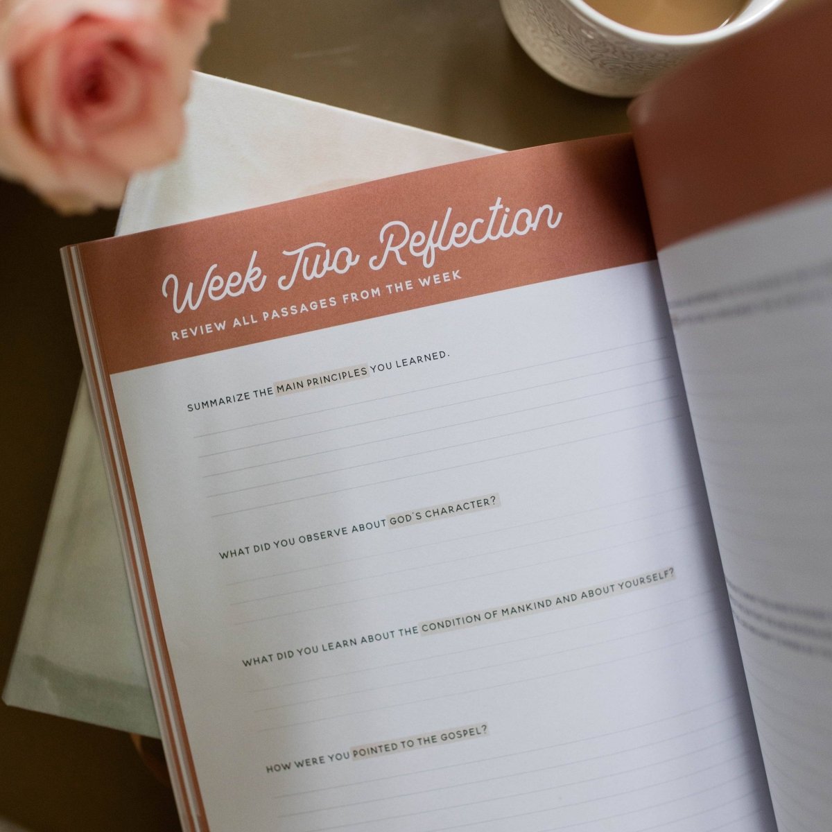 Growing in Grace | Spiritual Disciplines Study - Three:Twelve Boutique - The Daily Grace Co