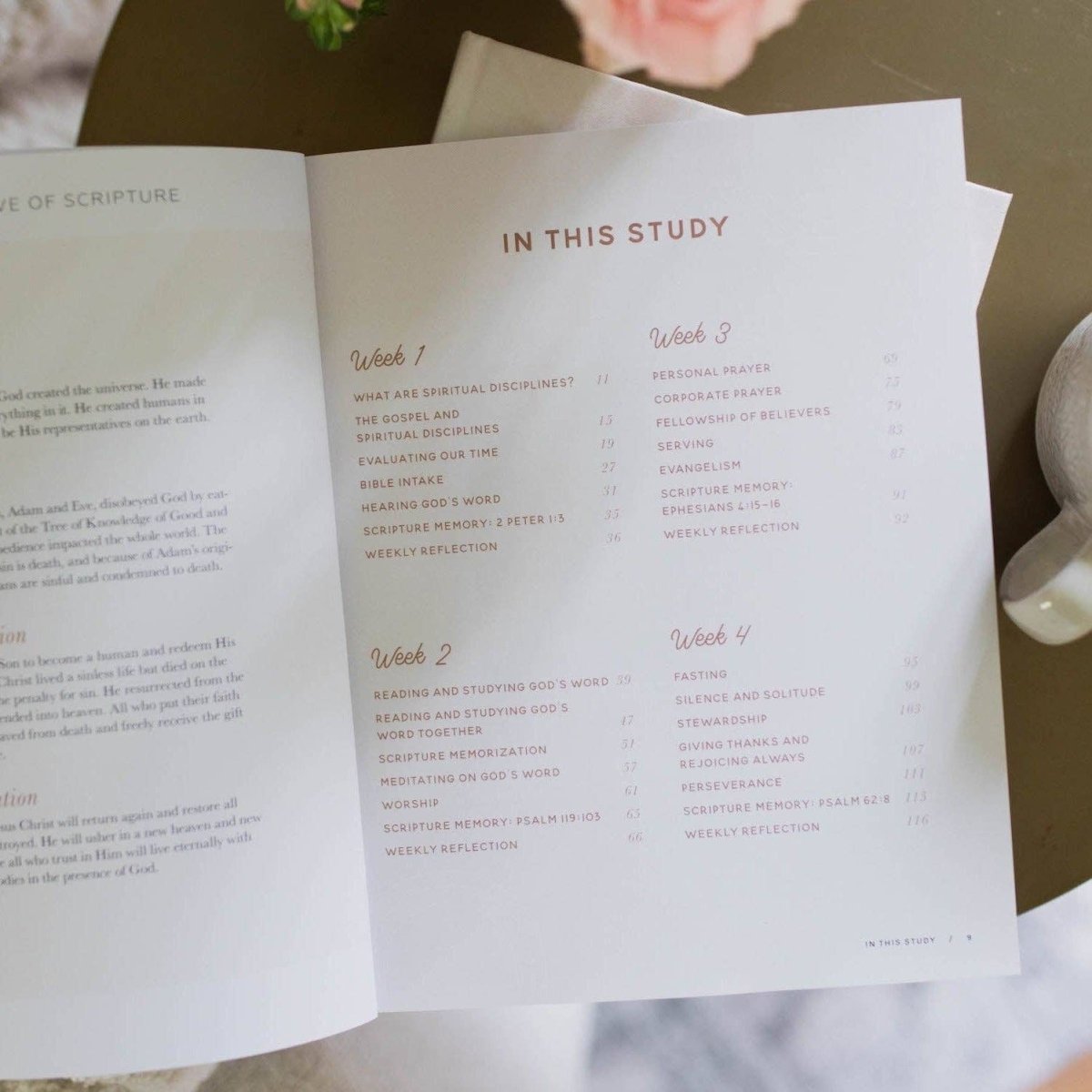 Growing in Grace | Spiritual Disciplines Study - Three:Twelve Boutique - The Daily Grace Co