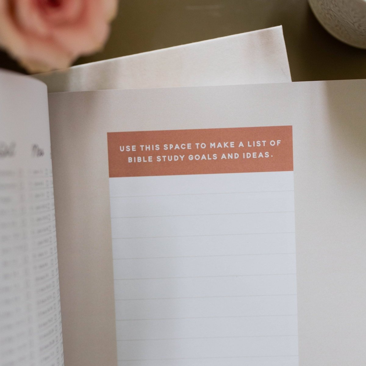 Growing in Grace | Spiritual Disciplines Study - Three:Twelve Boutique - The Daily Grace Co