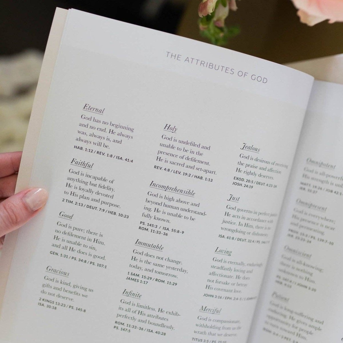 Growing in Grace | Spiritual Disciplines Study - Three:Twelve Boutique - The Daily Grace Co