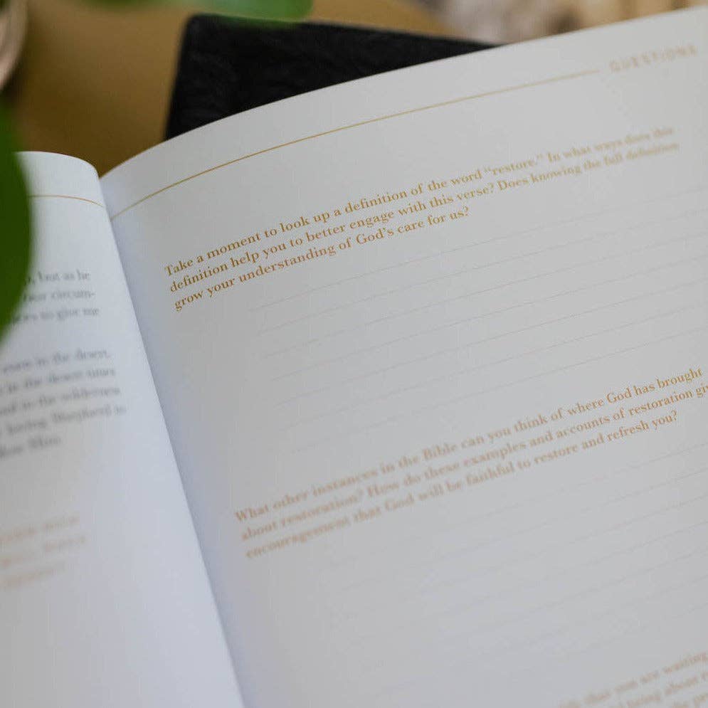 He Leads Me Bible Study - Three:Twelve Boutique - The Daily Grace Co