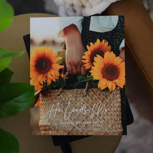 He Leads Me Bible Study - Three:Twelve Boutique - The Daily Grace Co